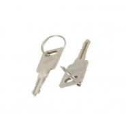 Набір ключів (2 шт.) замка дверей морозильної камери AEG 2912809049